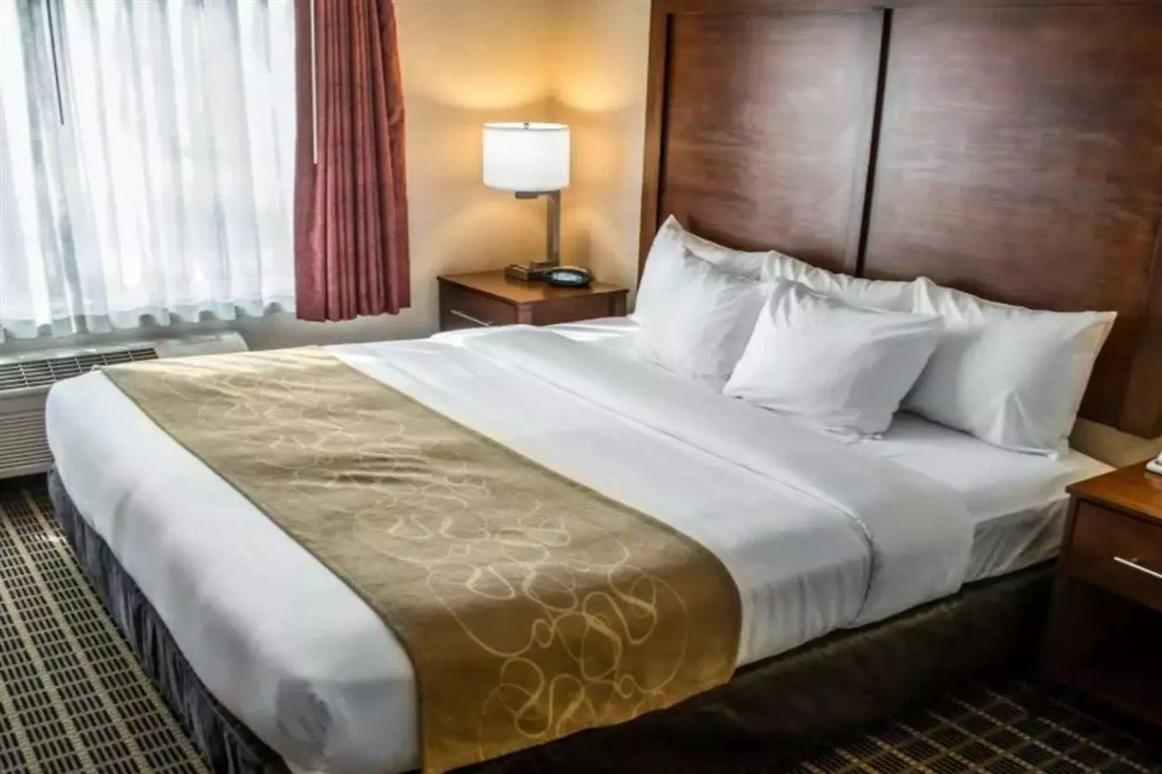 Comfort Suites Portland Southwest